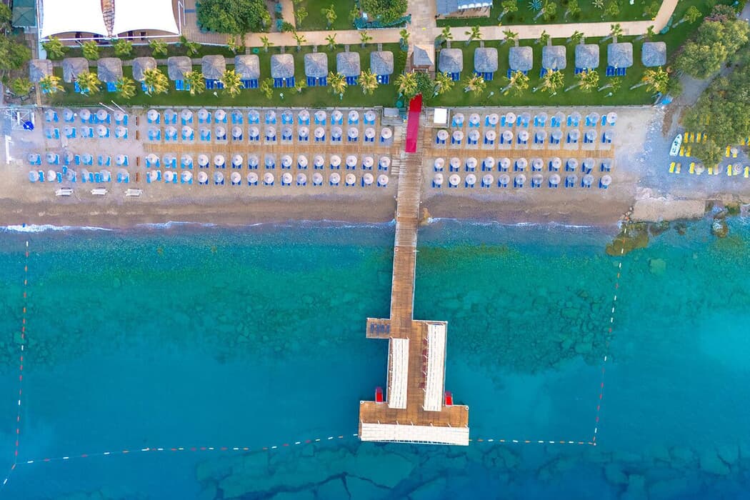 Latanya Park Hakkında