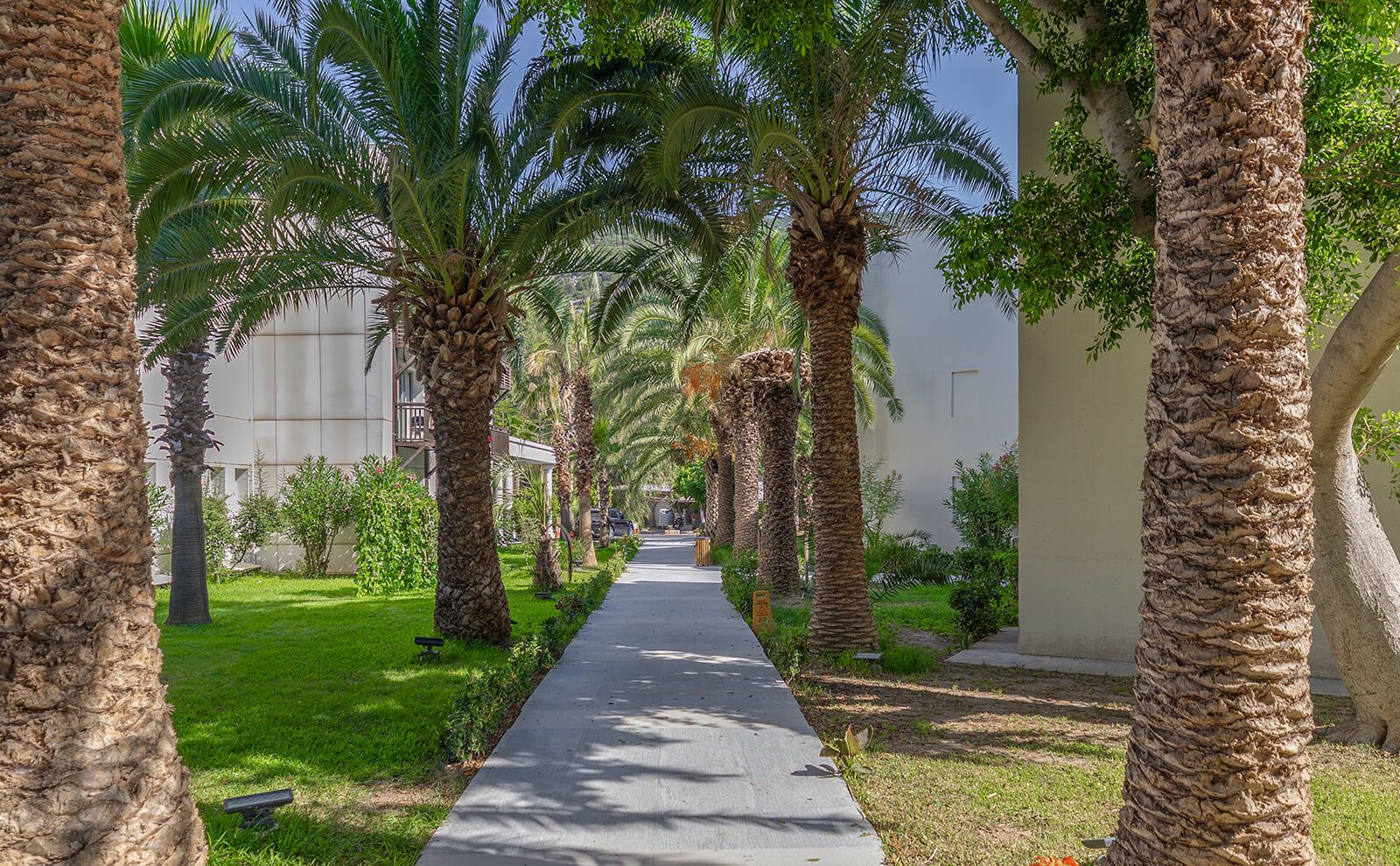 Latanya Park Hotel Galeri 1